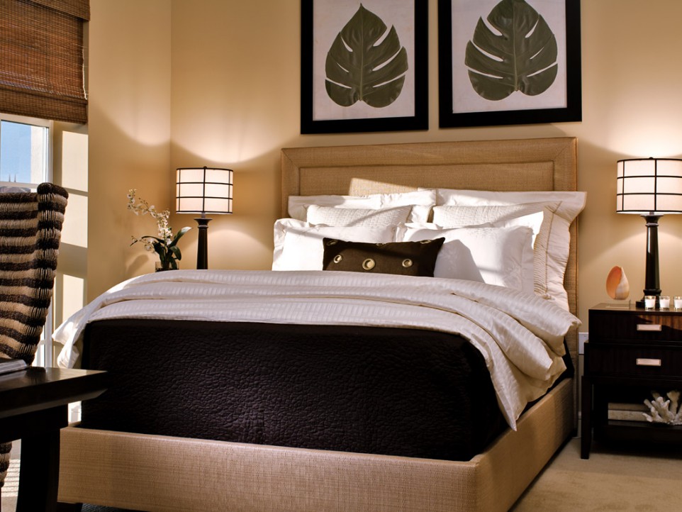 Minto Guest Bed